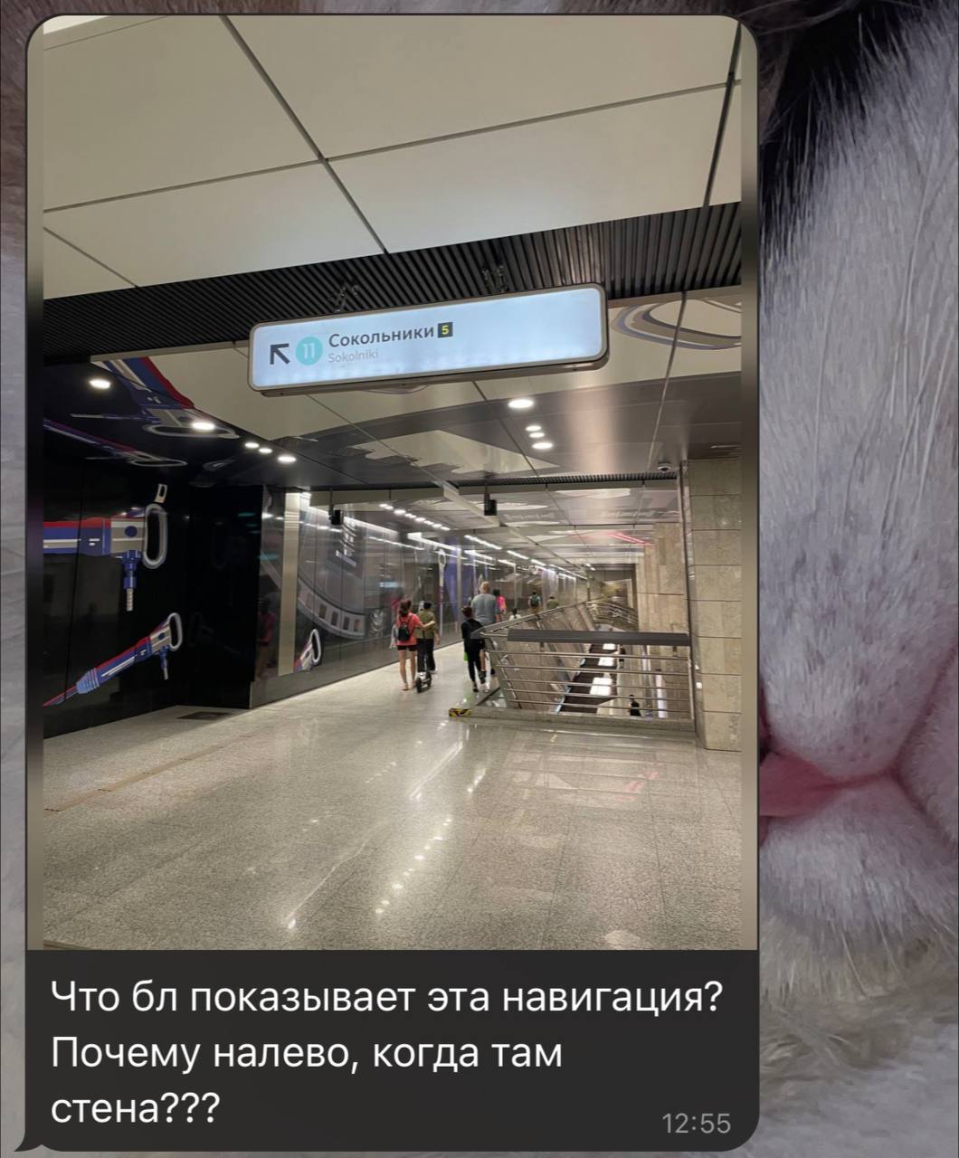 В метро и наземке реально есть большие проблемы с навигацией | Сетка — социальная сеть от hh.ru
