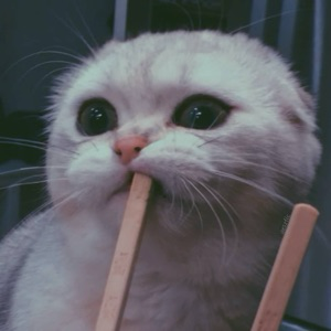 Дарья Леонова | Сетка — социальная сеть от hh.ru