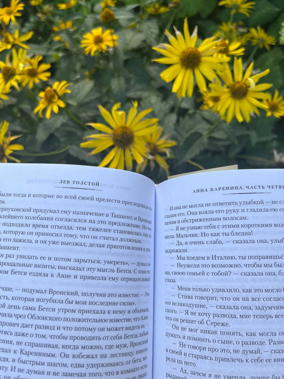😉🌼шестой день чтения «Анны Карениной» Льва Толстого меня утомил - уже с утра, а ведь сегодня выходной и напрягаться не очень-то и хочется🌼
всему виной - Левин! ох уж эта его охота на вальдшнепов, кото... | Сетка — социальная сеть от hh.ru