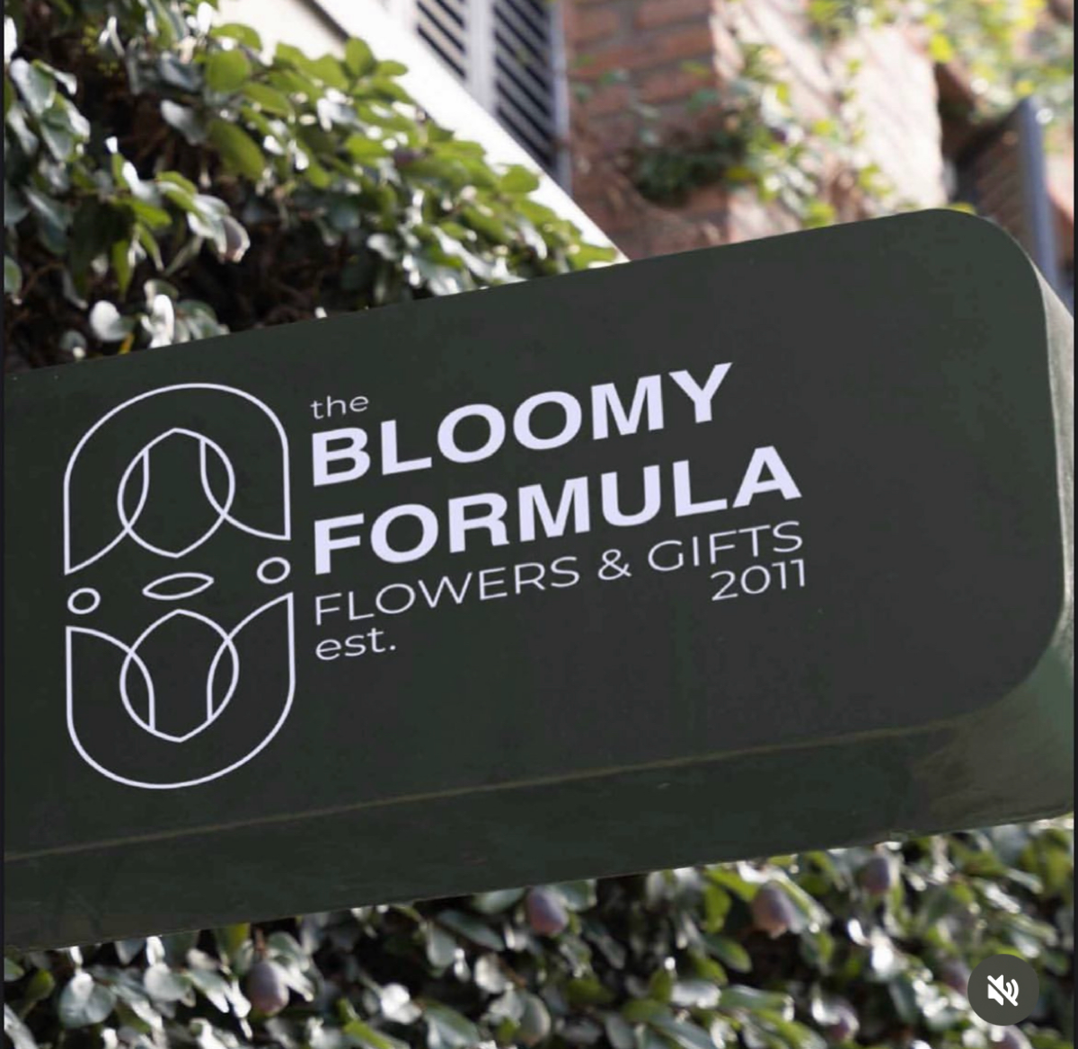 Айдентика для цветочного магазина
#design #graphicdesign #flowers #adobeillustrator #mem #adobe #identify | Сетка — социальная сеть от hh.ru