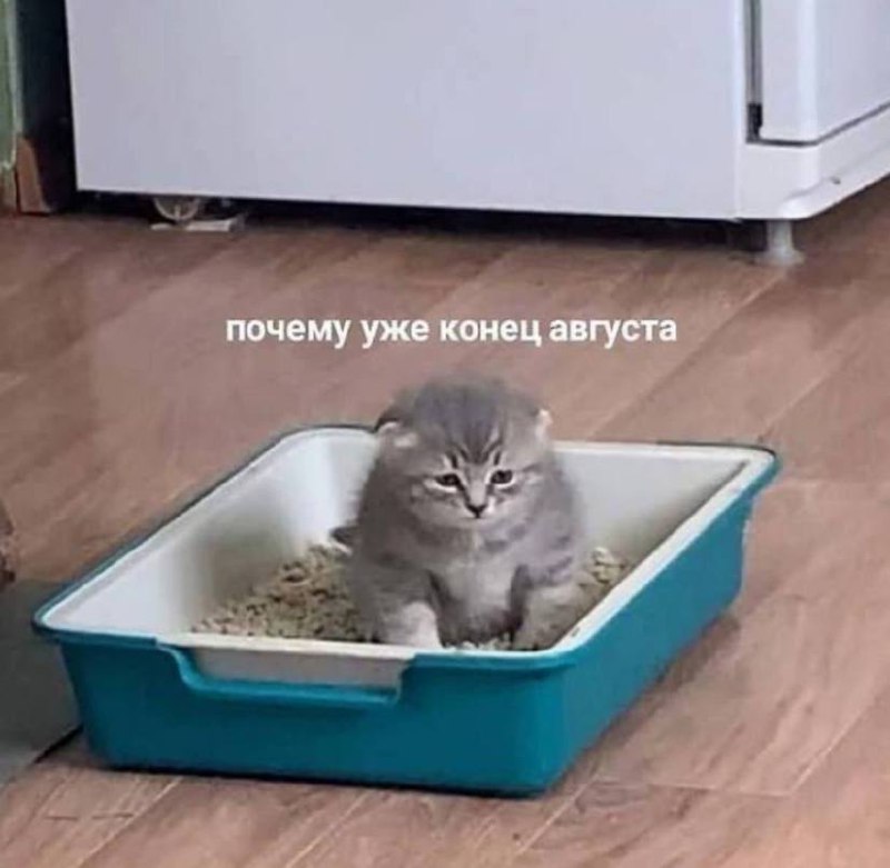 Твои мысли в час ночи: | Сетка — социальная сеть от hh.ru