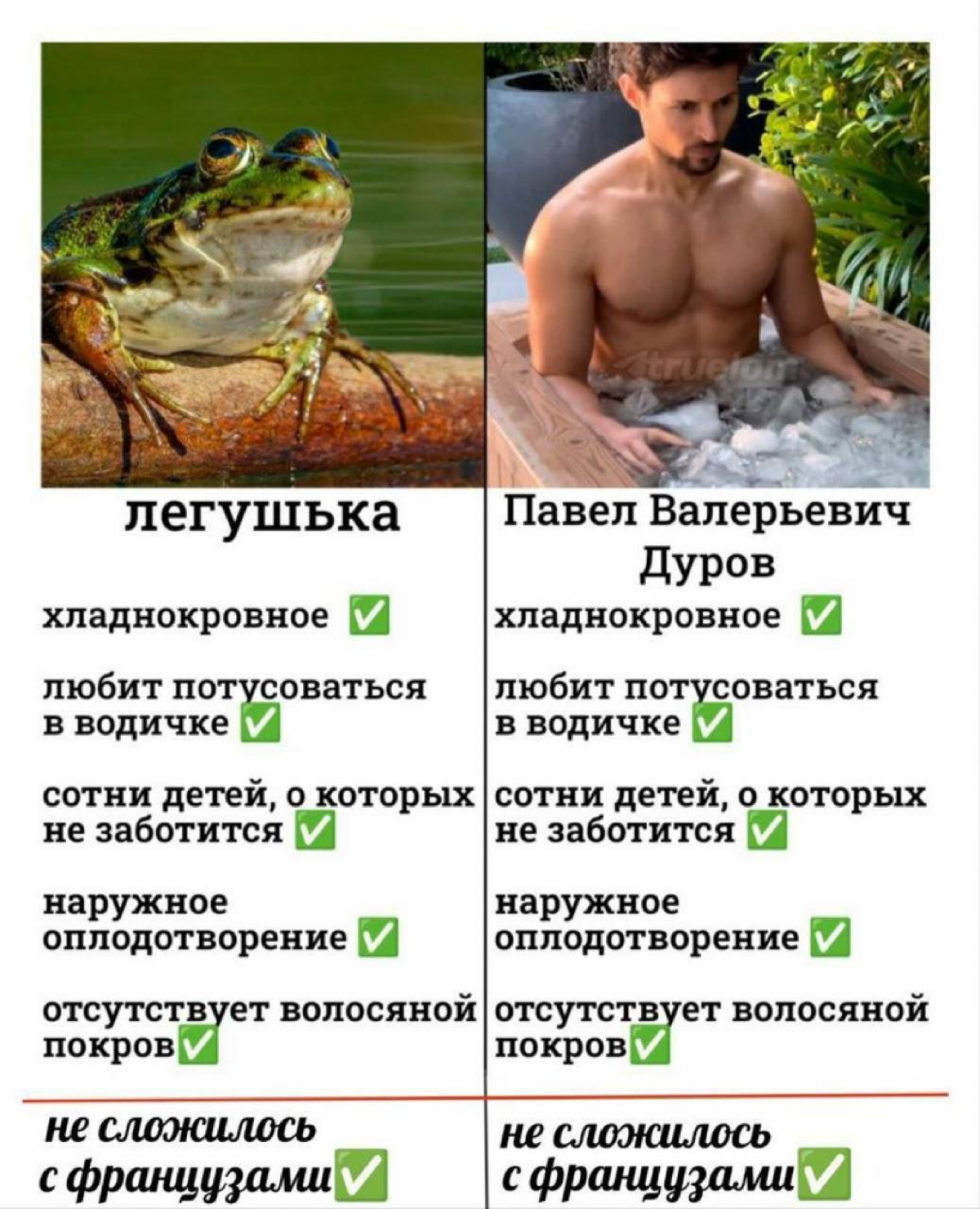 сегодня еще не среда, но держите мем | Сетка — социальная сеть от hh.ru