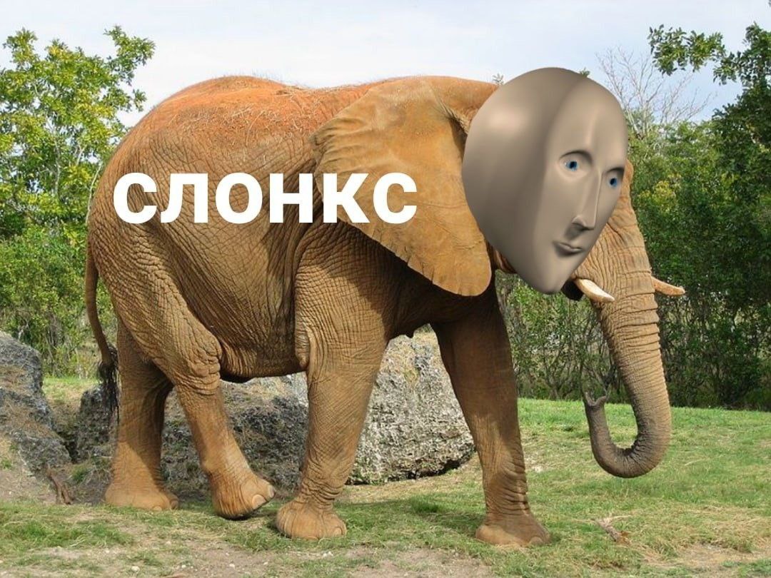 ⚡️ Задержан Павел Дуров — вот бы его к нам
*Основатель Telegram и ВК Павел Дуров задержан по обвинению в причастности к терроризму, обороту наркотиков и мошенничеству | Сетка — социальная сеть от hh.ru