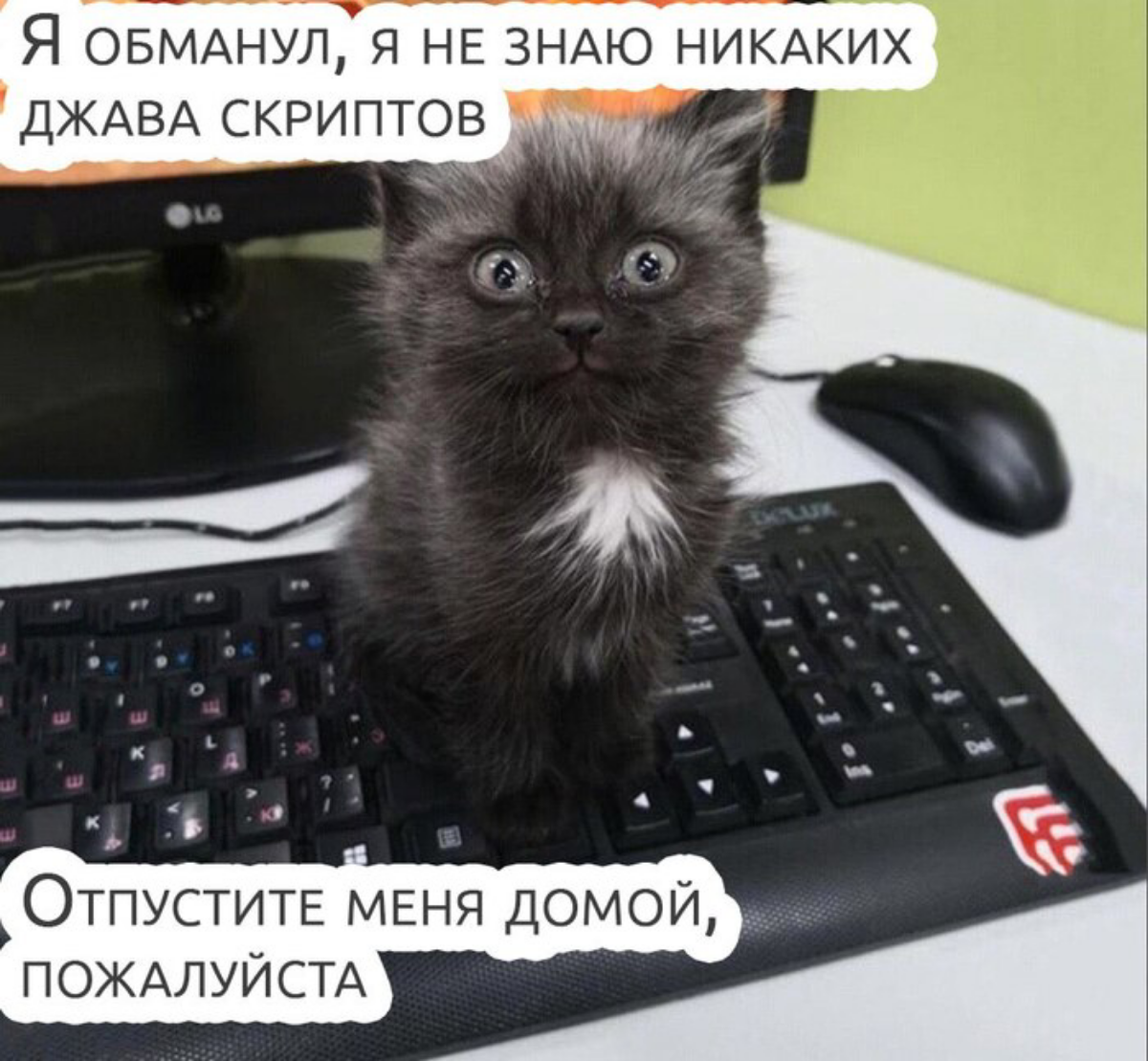 #js | Сетка — социальная сеть от hh.ru