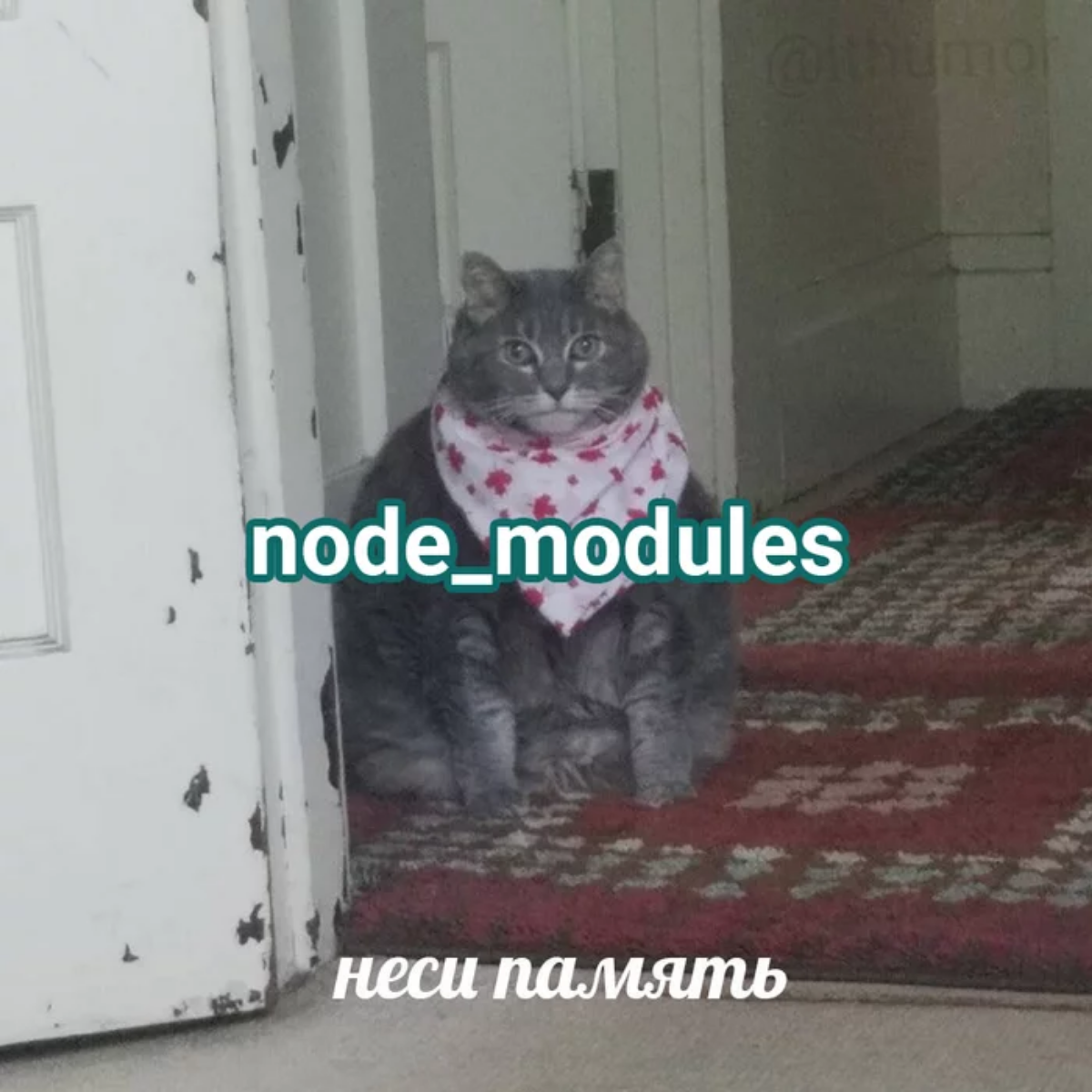 #js | Сетка — социальная сеть от hh.ru