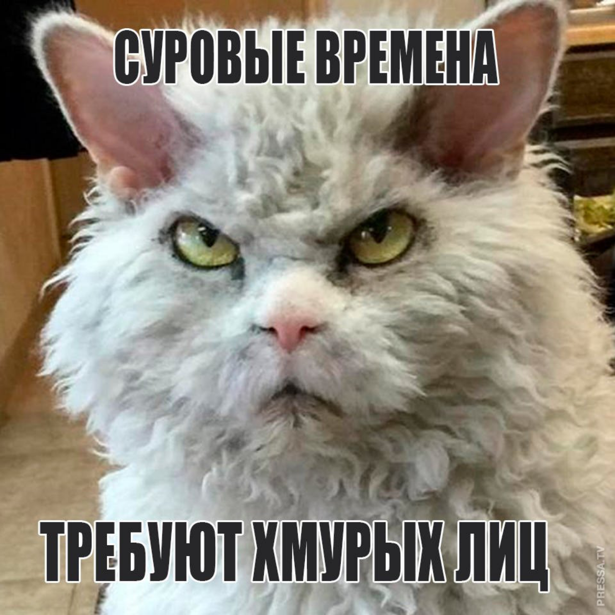 Привет, друзья мои!
Ранее писала пост о дурацких вопросах, которые задают на собеседовании рекрутеры, почитала комментарии, провела анализ и сформировала вывод, чего же не хватает большинству!
Чувство... | Сетка — социальная сеть от hh.ru