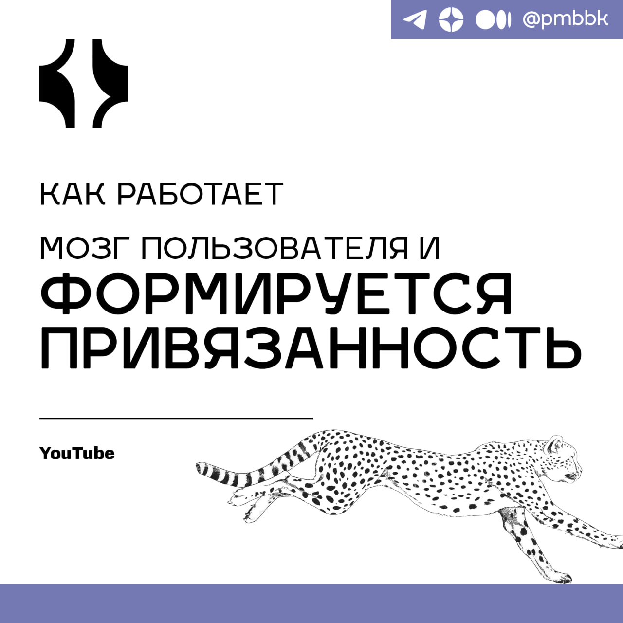 🧠 Как работает мозг пользователя и формируется привязанностьПоговорим о том, как сбалансировать продукт с учетом биохимических процессов в мозге человека | Сетка — социальная сеть от hh.ru