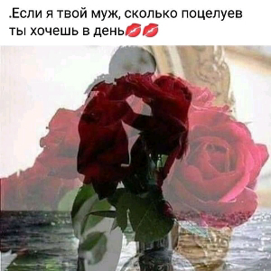 Александр Ефимов