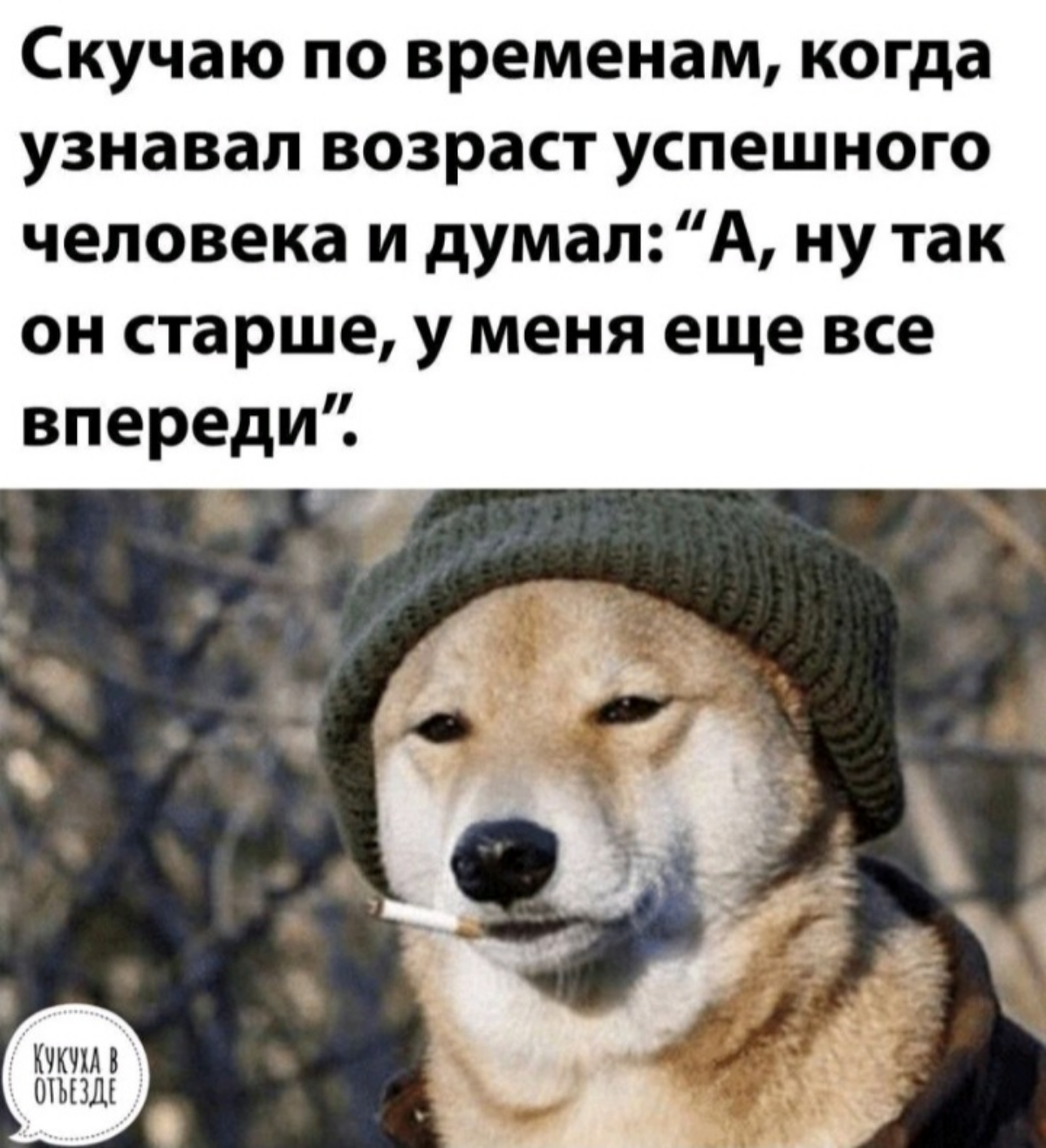 #mem #memes #humor #мем #юмор | Сетка — социальная сеть от hh.ru