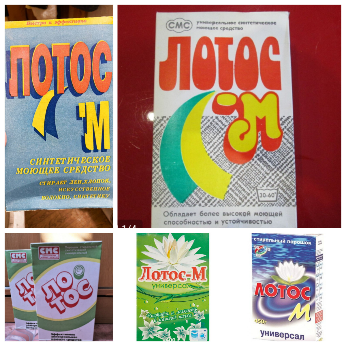 Многоликий Лотос 🪩 | Сетка — социальная сеть от hh.ru