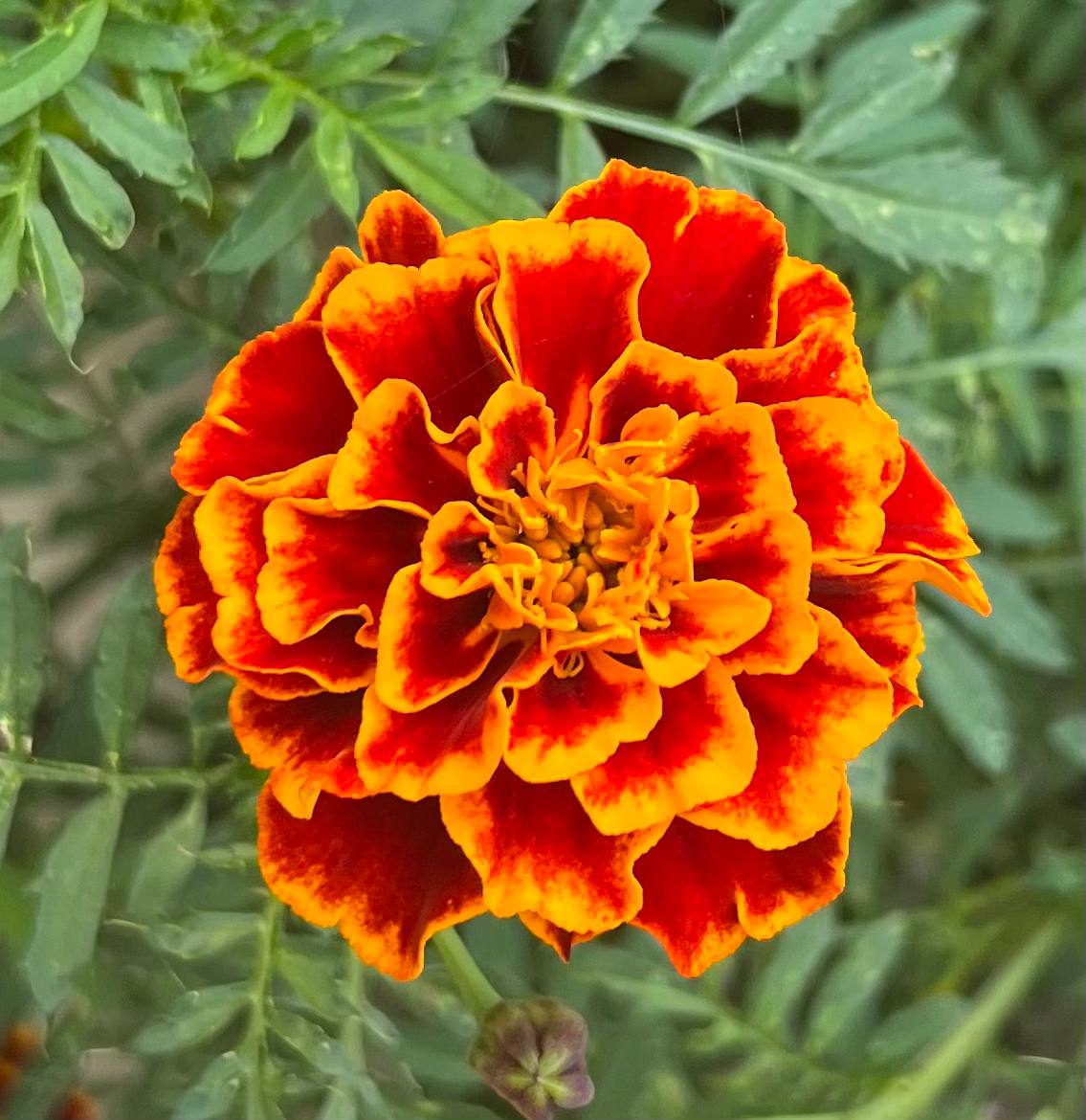 📚 на фоне задержания Дурова, про которое пишут всееее (и даже книжные блогеры, резко кинувшиеся создавать группы вконтакте), продолжается моё знакомство с романом Льва Толстого «Анна Каренина» ☕️
ах, ... | Сетка — социальная сеть от hh.ru