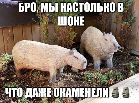 Цензура в сетке | Сетка — социальная сеть от hh.ru