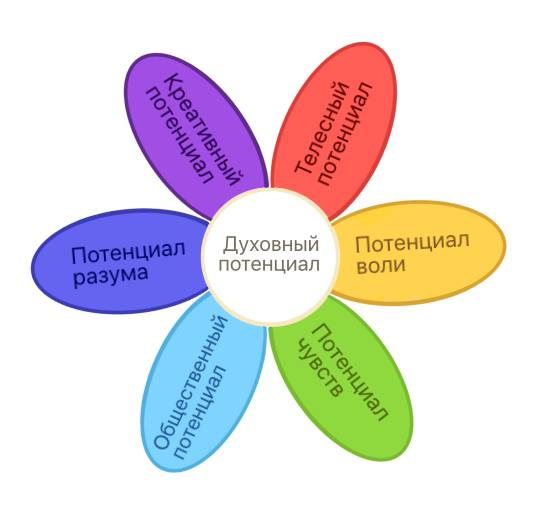 «Цветок потенциалов» | Сетка — социальная сеть от hh.ru