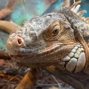 Андрей Кутьин | Сетка — социальная сеть от hh.ru