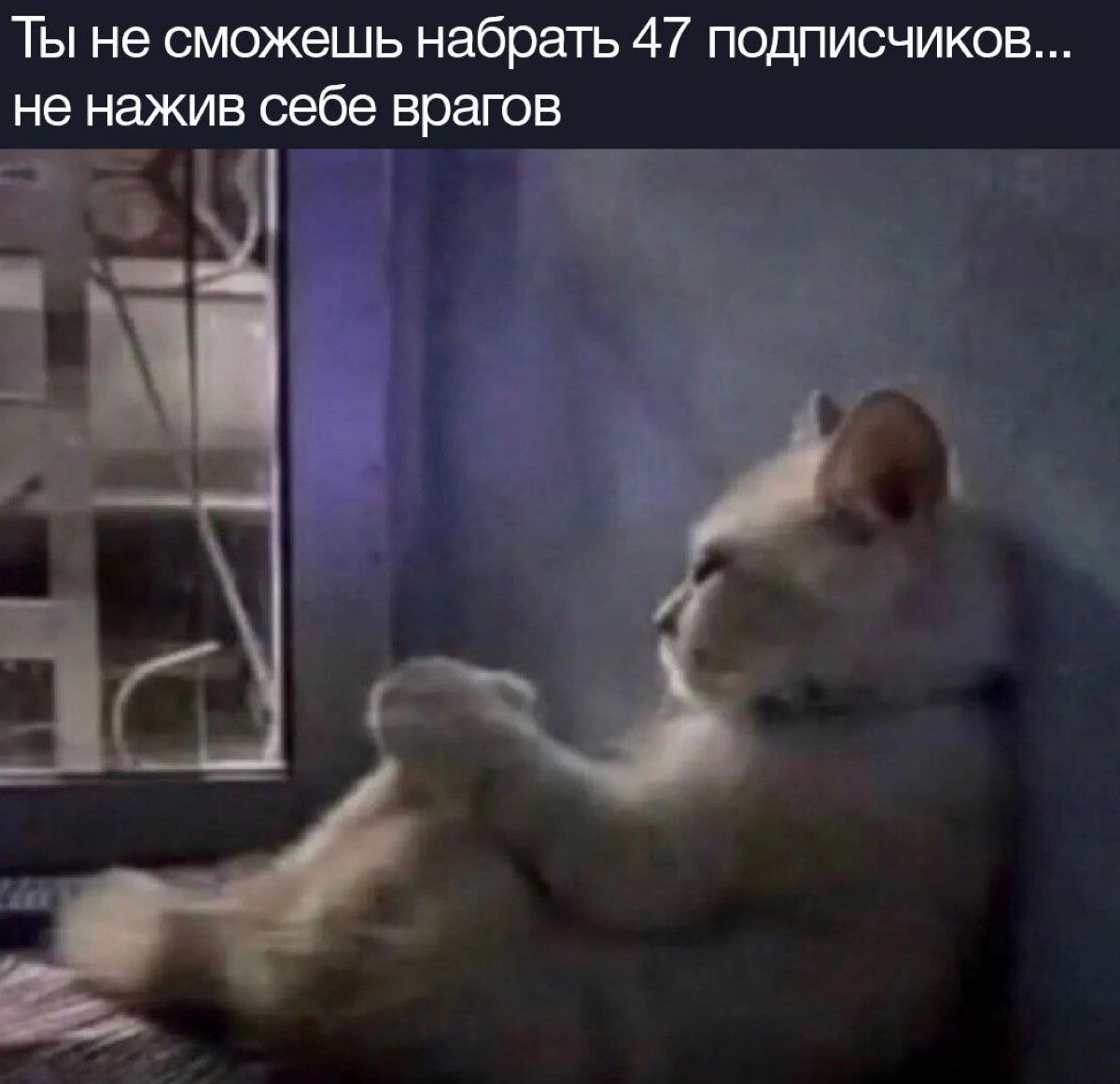 у меня их пока 36 | Сетка — социальная сеть от hh.ru