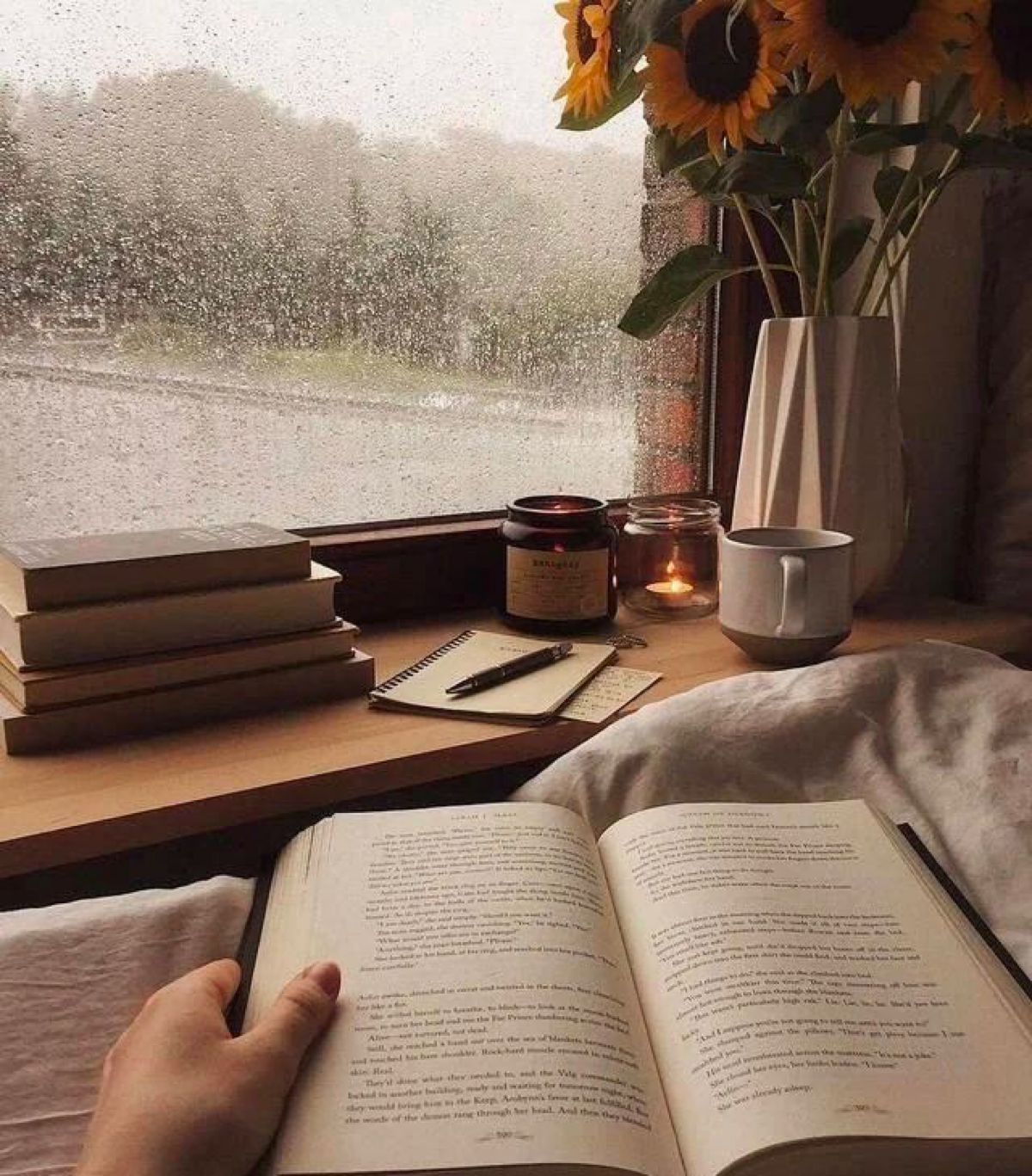Книга вот, что меня успокаивает❤️ | Сетка — социальная сеть от hh.ru