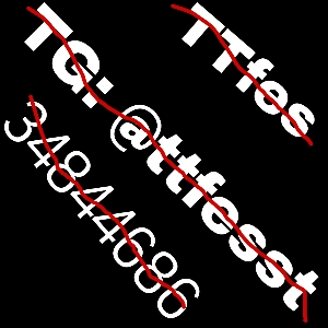Ttfes Ts