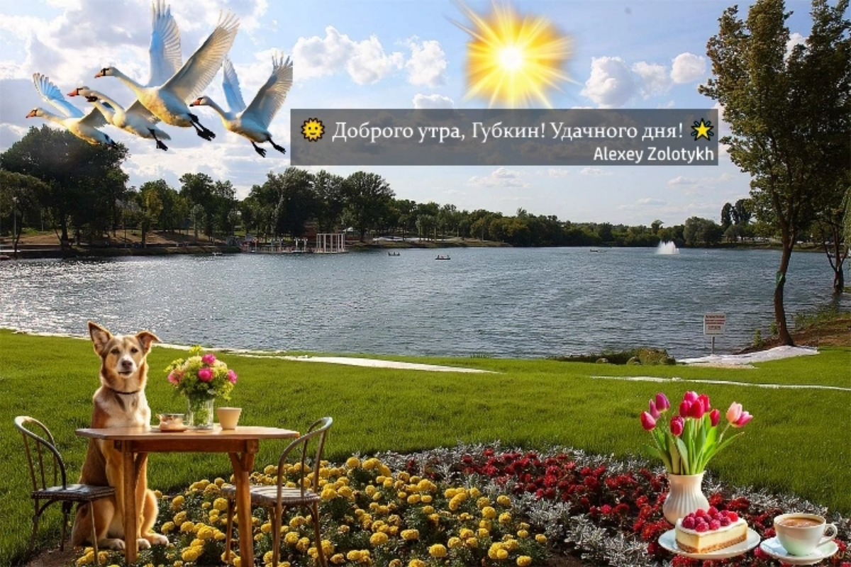 🌞 Доброго утра, Губкин! Удачного дня! 🌟 | Сетка — социальная сеть от hh.ru