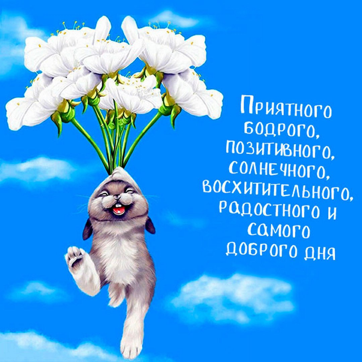 Всем хорошего дня) все что задумали  сегодня, обязательно получится♥️ | Сетка — социальная сеть от hh.ru