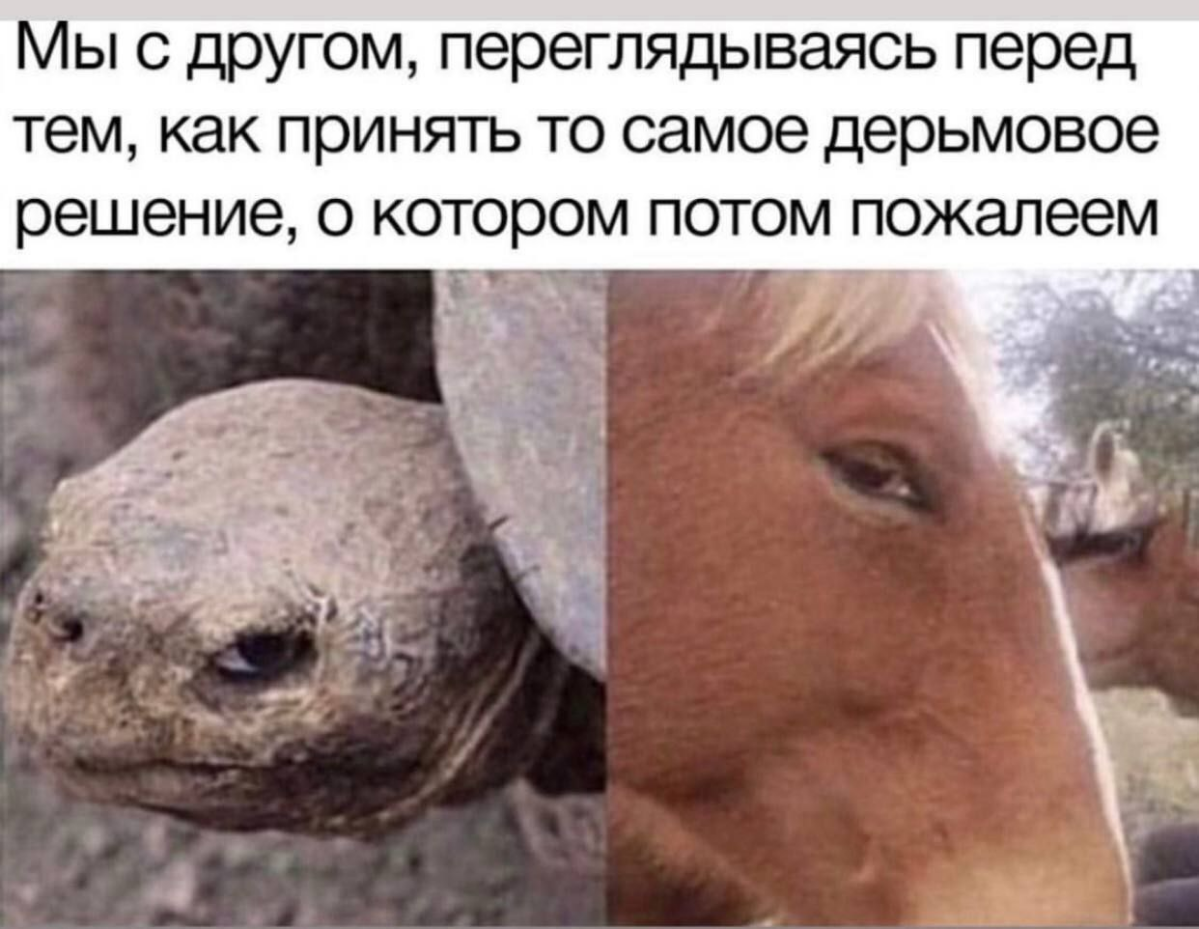 Например, устроиться на одну и ту же работу)))
#мем #работа #1с | Сетка — социальная сеть от hh.ru