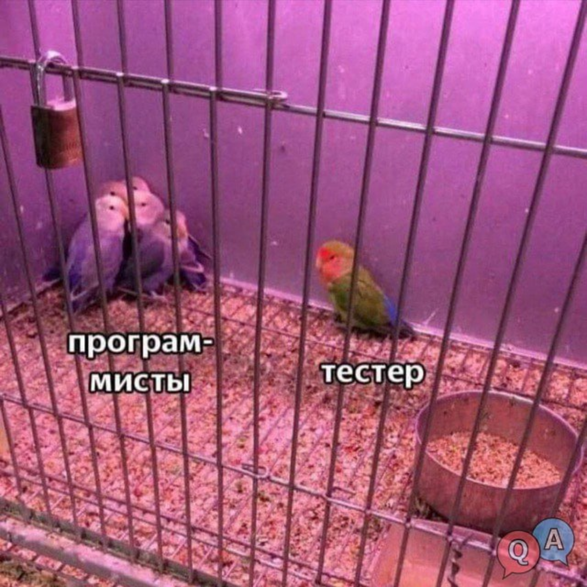 #тестирование #IT #программирование | Сетка — социальная сеть от hh.ru