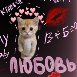 Катя Васенина