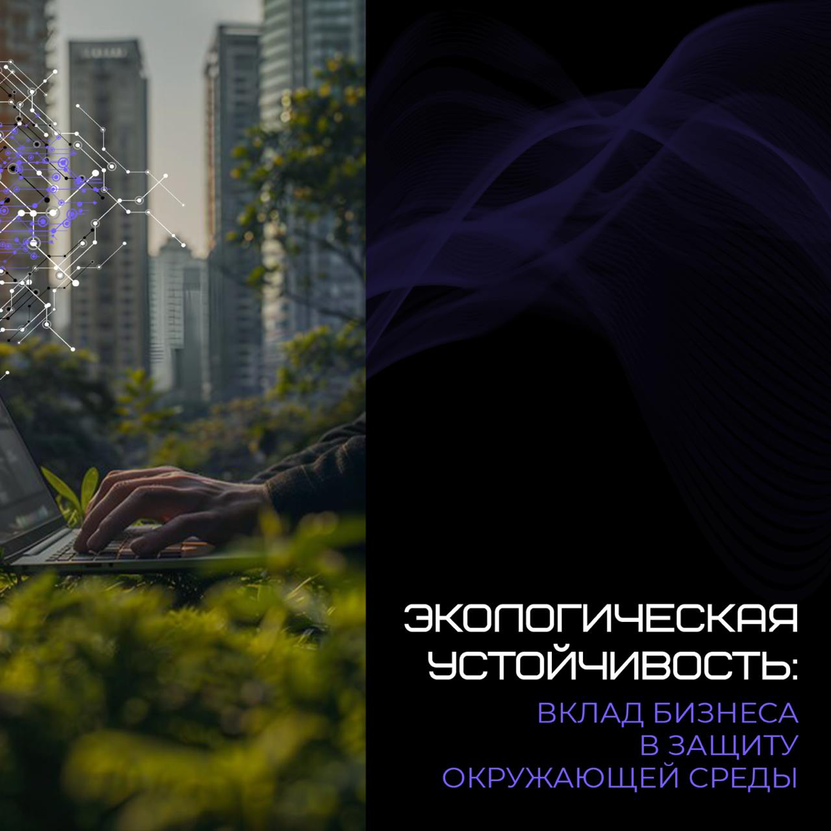 🌏Экологическая устойчивость становится все более важной в наше время, и бизнес может помочь в этом | Сетка — социальная сеть от hh.ru