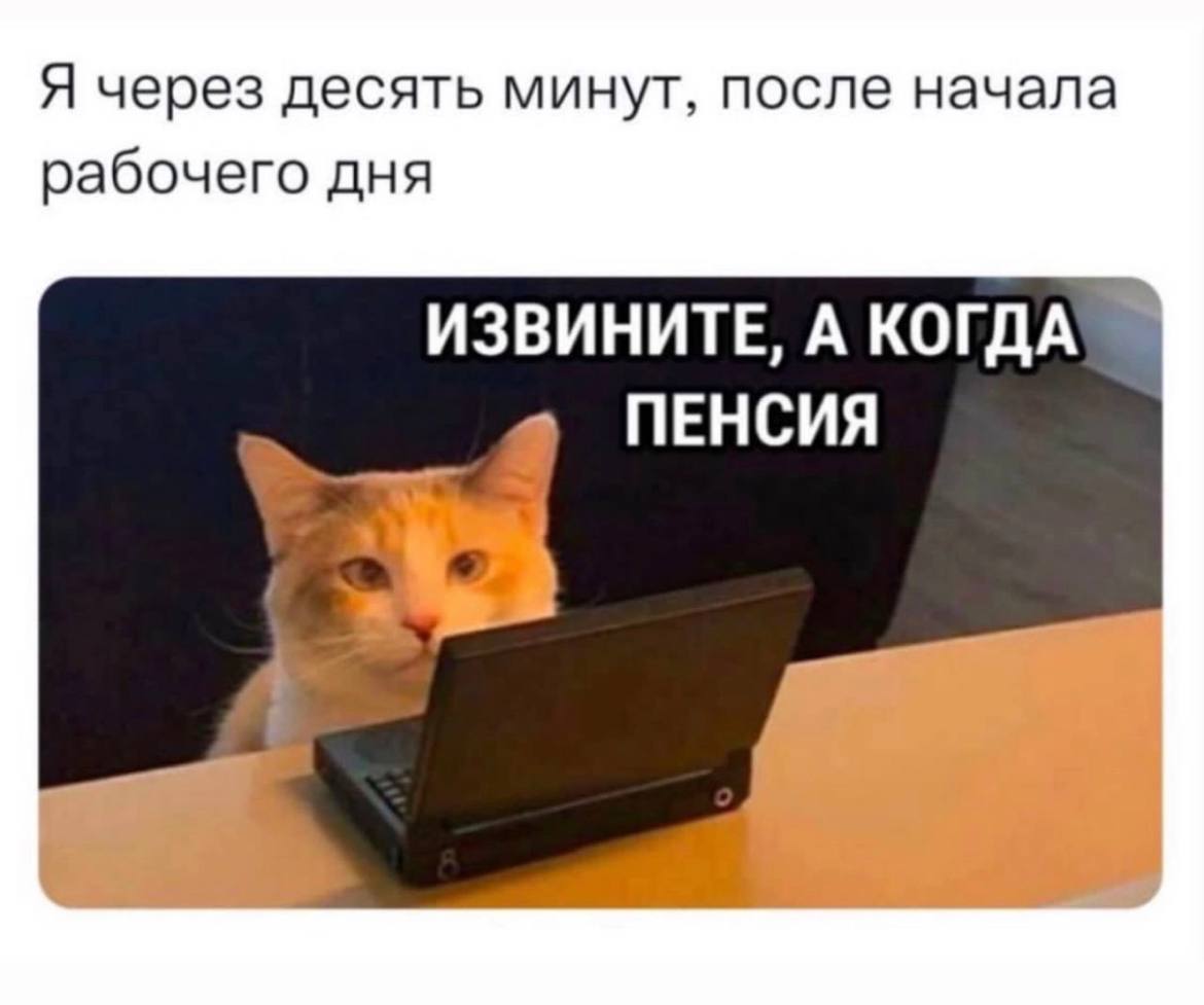 Всем понедельник | Сетка — социальная сеть от hh.ru