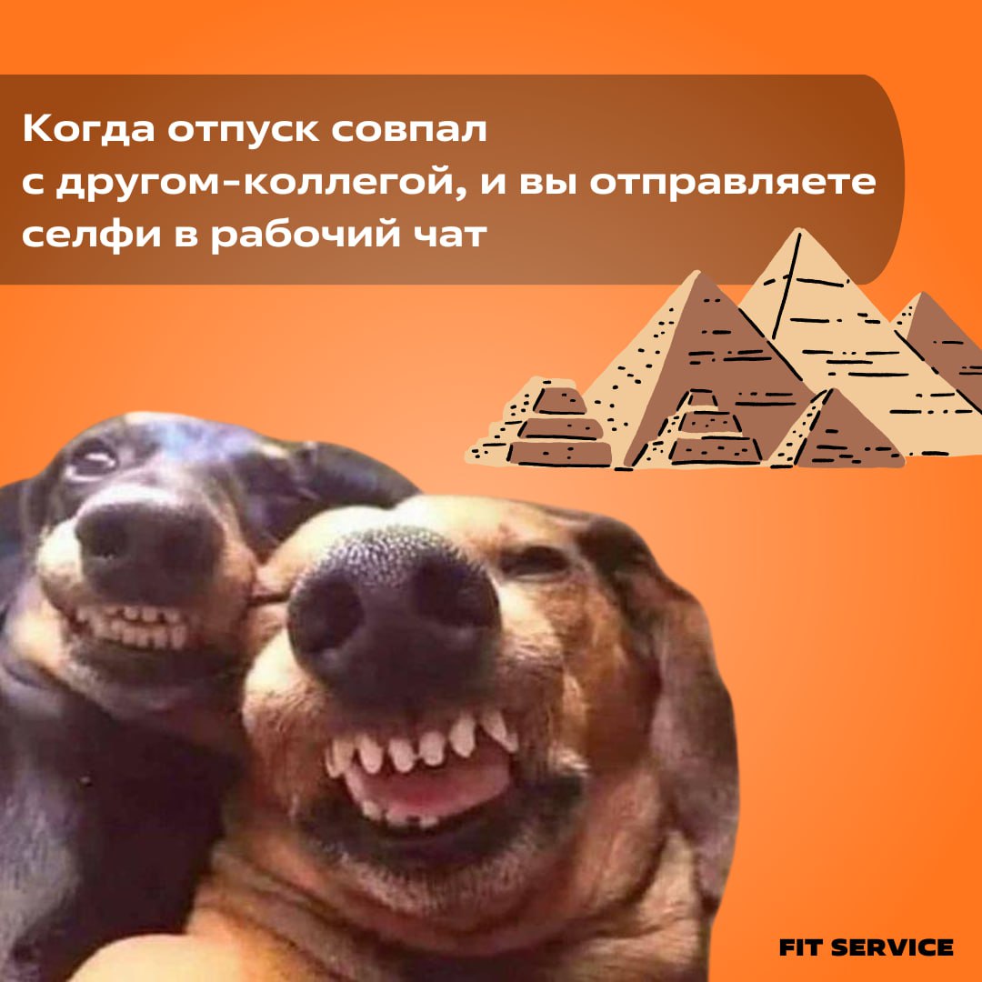 Работа вместе с другом — это что-то на идеальном 🤡
Особенно, когда у вас совпадает отпуск!
В нашей компании действует реферальная программа, поэтому делить с другом отпуск и рабочие будни вполне реаль... | Сетка — социальная сеть от hh.ru