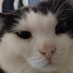 Роман Игоревич | Сетка — социальная сеть от hh.ru