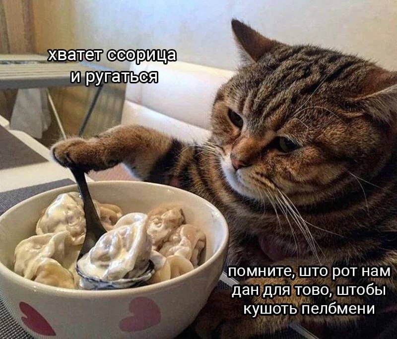 А какой-то обед планируется? 😀 | Сетка — социальная сеть от hh.ru
