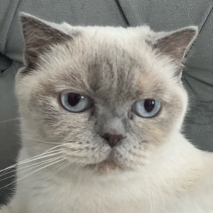 Sales & marketing  b2b: IT, SaaS Etc.