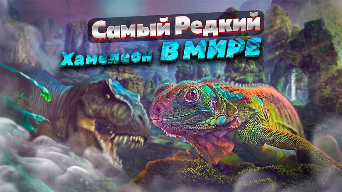 Превью для ютюб канала | Сетка — социальная сеть от hh.ru