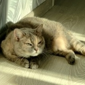 Полина Дружинина