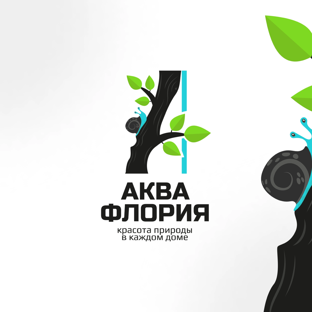 Брендинг для дизайнера флорариумов и полидариумов | Сетка — социальная сеть от hh.ru