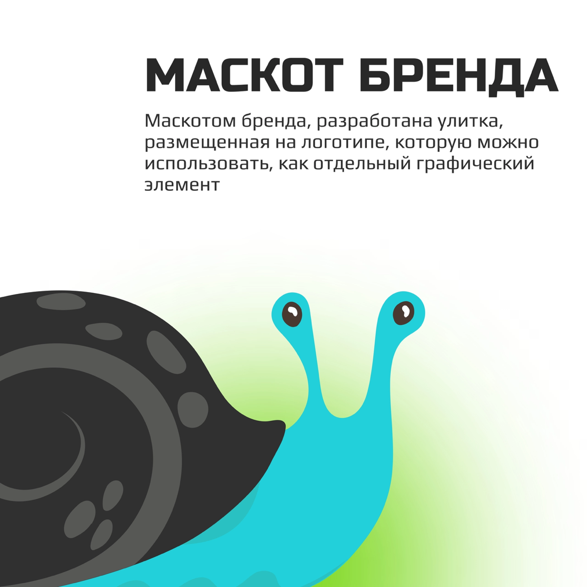 Брендинг для дизайнера флорариумов и полидариумов | Сетка — социальная сеть от hh.ru