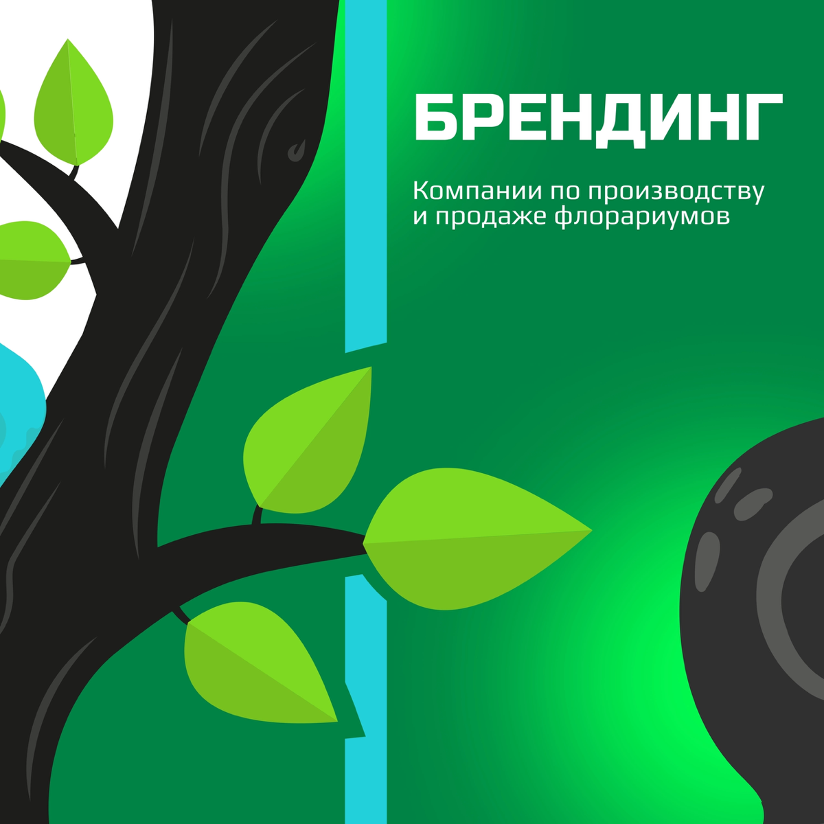 Брендинг для дизайнера флорариумов и полидариумов | Сетка — социальная сеть от hh.ru