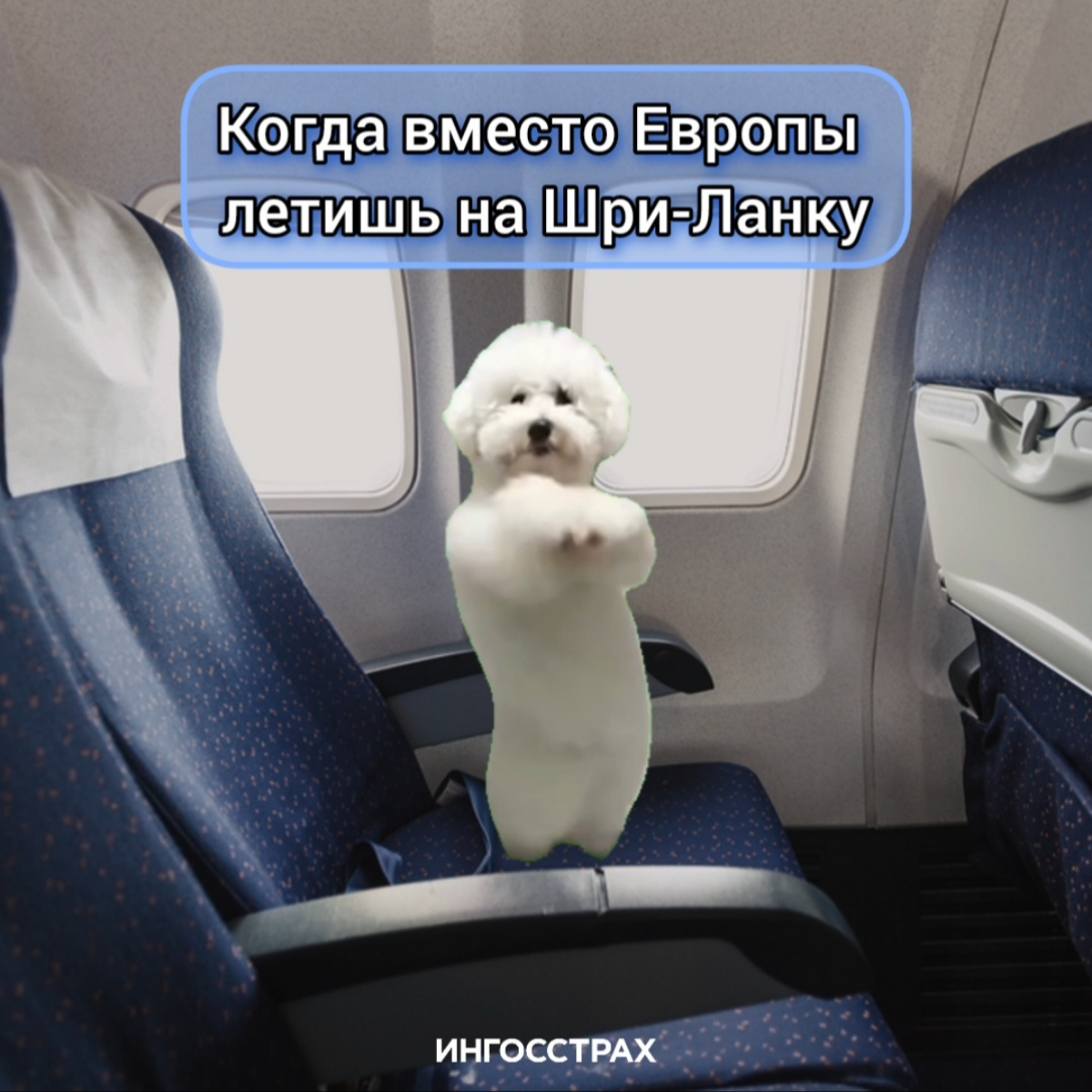 Новости для тех, кто собирается в путешествие 🏝
 🇪🇺 С 16 сентября будут ужесточены правила ввоза домашних животных из России на территорию Евросоюза | Сетка — социальная сеть от hh.ru