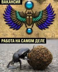 #мемдня | Сетка — социальная сеть от hh.ru