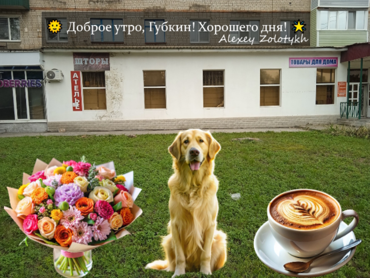 🌞 Доброе утро, Губкин! Хорошего дня! 🌟 | Сетка — социальная сеть от hh.ru