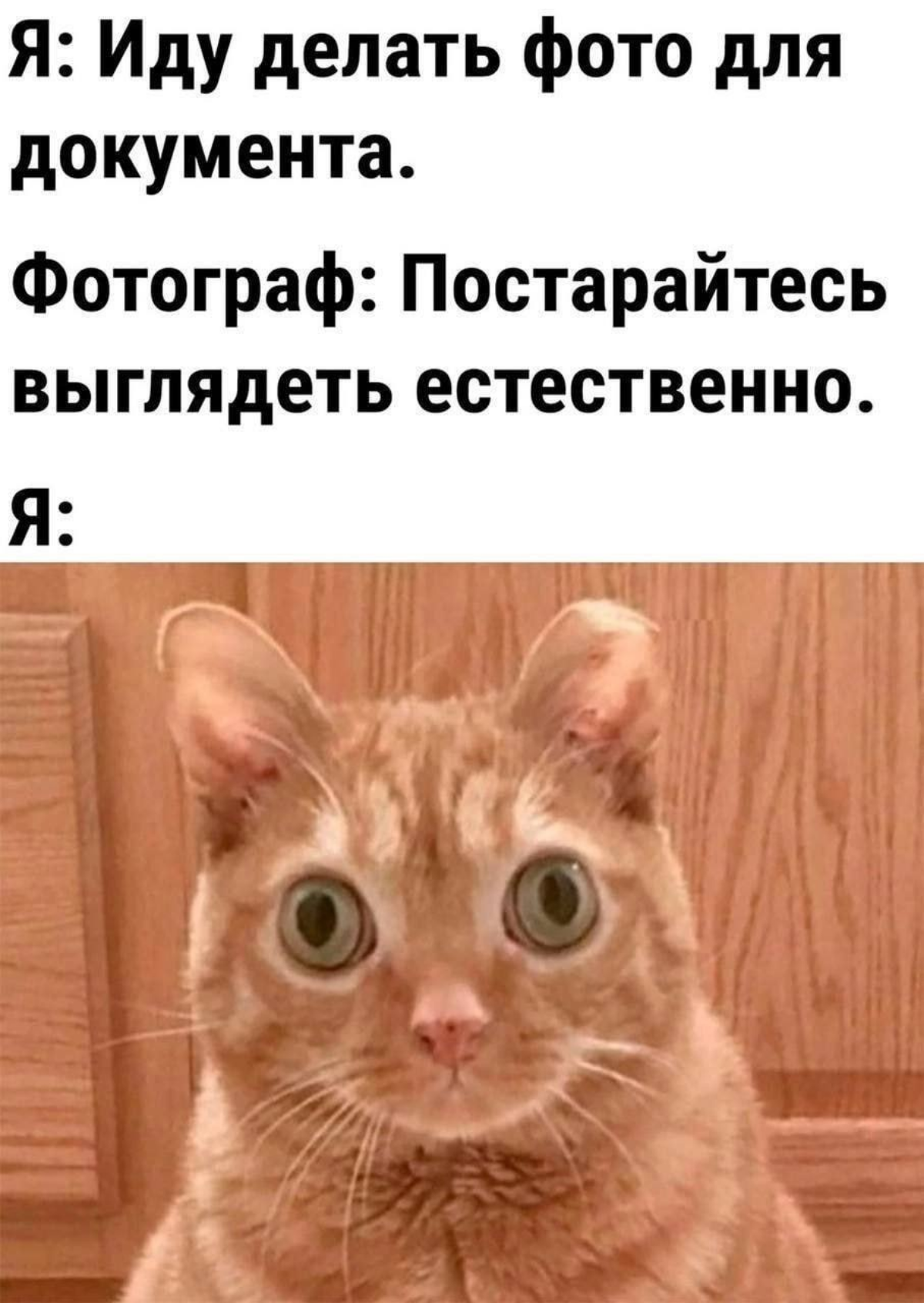 Фото на пропуске в офис такое:
#мем #работа #пропуск #офис #фото | Сетка — социальная сеть от hh.ru