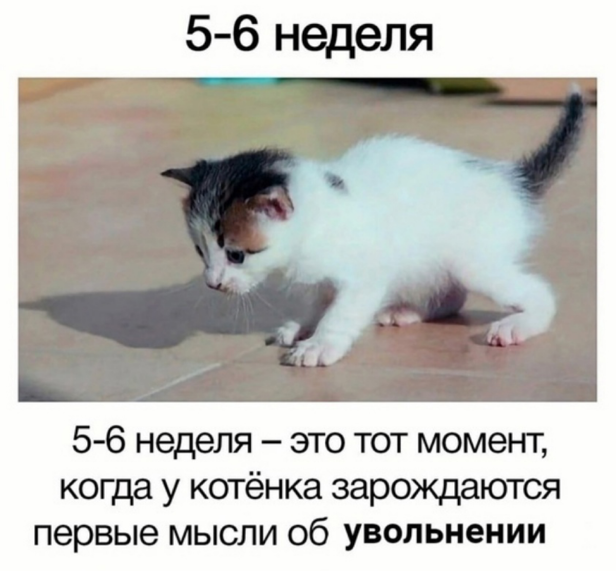 Сетка — социальная сеть от hh.ru