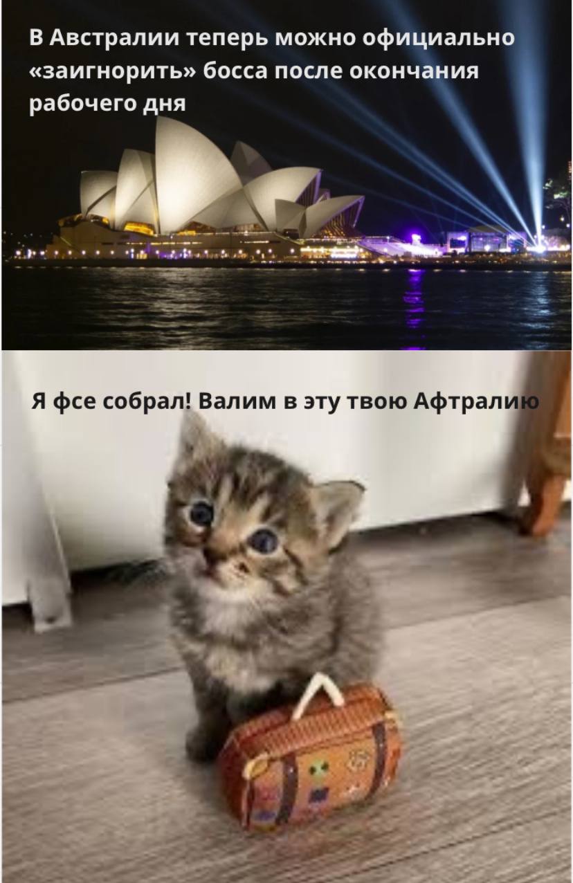 Good news, everyone! 🤩
Пока неудачники! 😜
#мем #мемдня #работаНеВолк #трудоВыебудни #босс #hr | Сетка — социальная сеть от hh.ru
