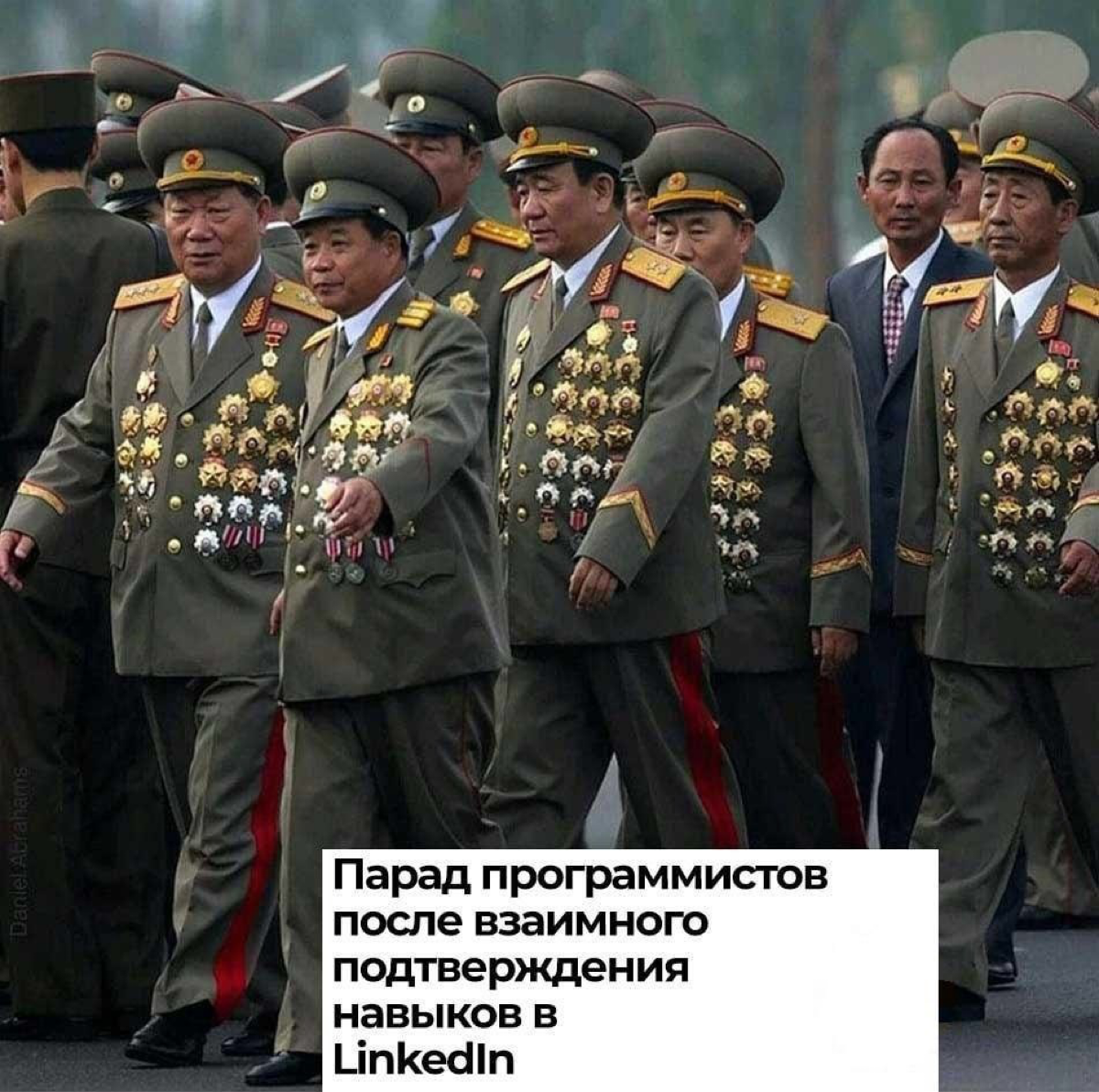 Сетка — социальная сеть от hh.ru