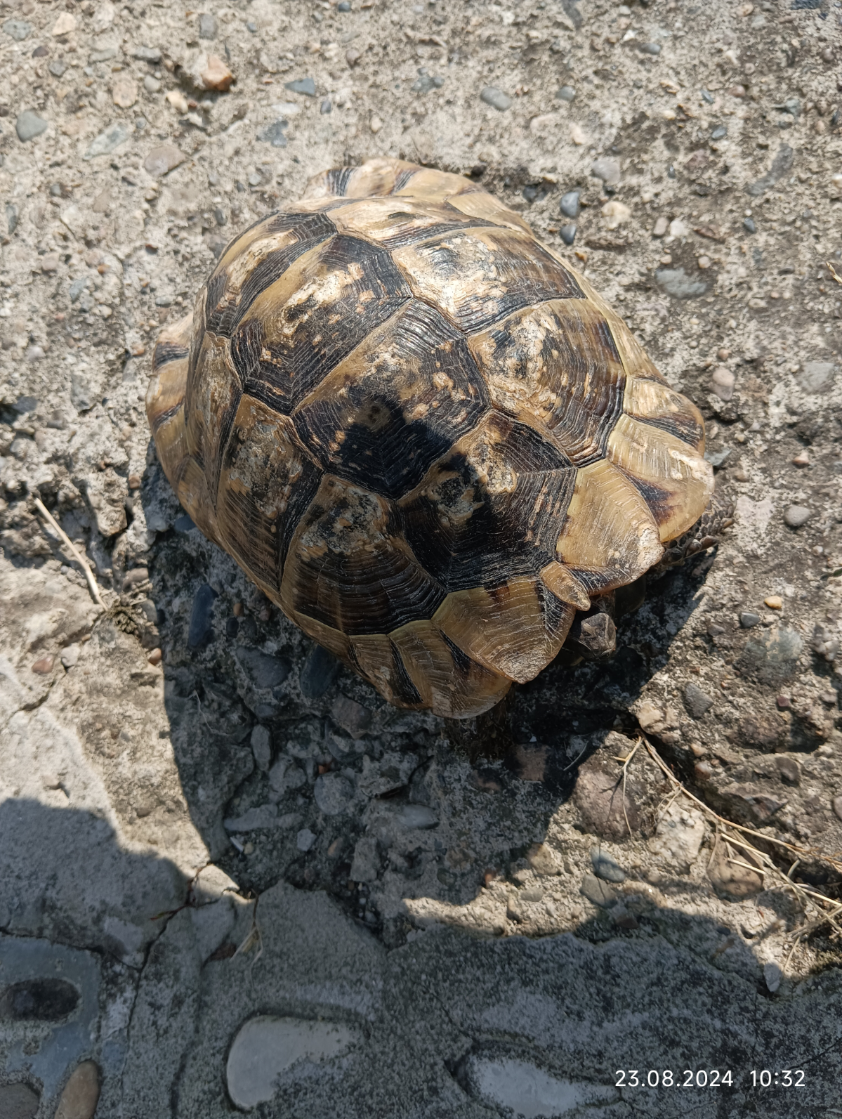 #правоидти
"Мы в город Изумрудный
Идём дорого трудной, 
Идём дорогой трудной, 
Дорогой не простой.... 
(м/фильм " Волшебник Изумрудного города, 1973-1974 г.г | Сетка — социальная сеть от hh.ru