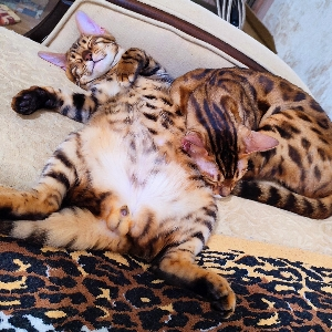 Не хочу работать