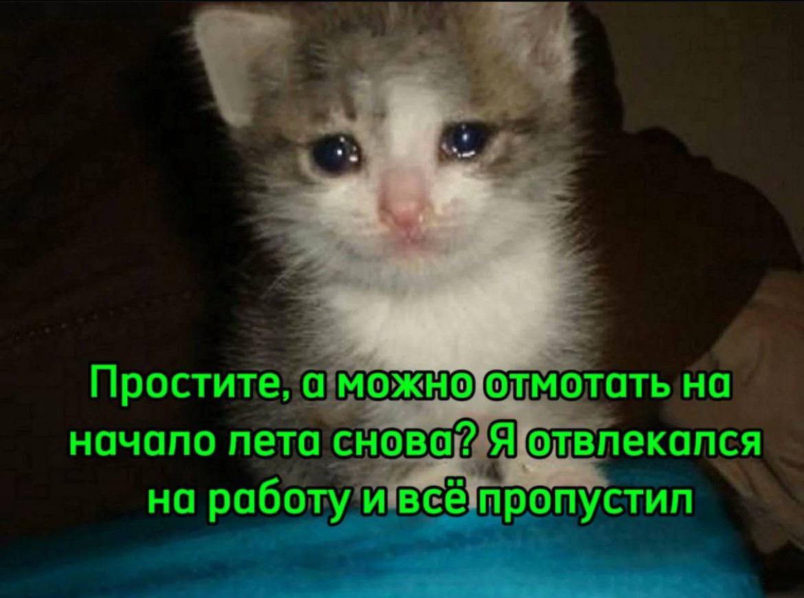 Сетка — социальная сеть от hh.ru