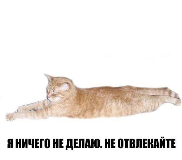 Сетка — социальная сеть от hh.ru