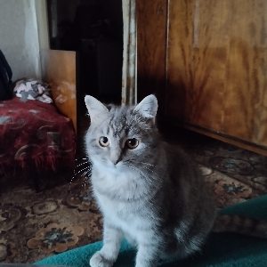 Василий Колосов | Сетка — социальная сеть от hh.ru