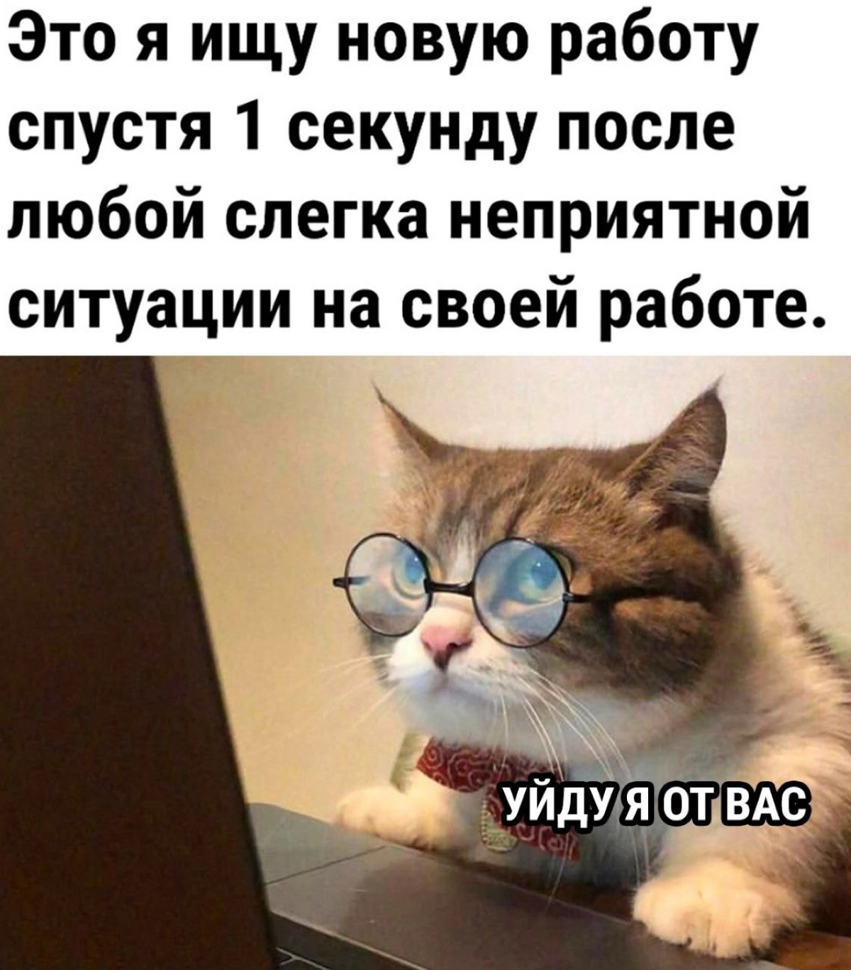 Я не ставлю будильники на утро, ибо знаю что проснусь от звонка проджекта, у которого опять что-то пошло по пиз… | Сетка — социальная сеть от hh.ru
